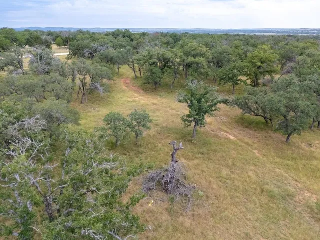 a view of a yard with plants