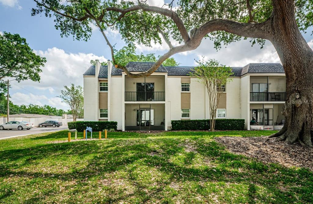 801 Russell Lane, Unit 255 Brandon, FL 33510 - Photo 29 of 38 a view of a house with backyard and a tree