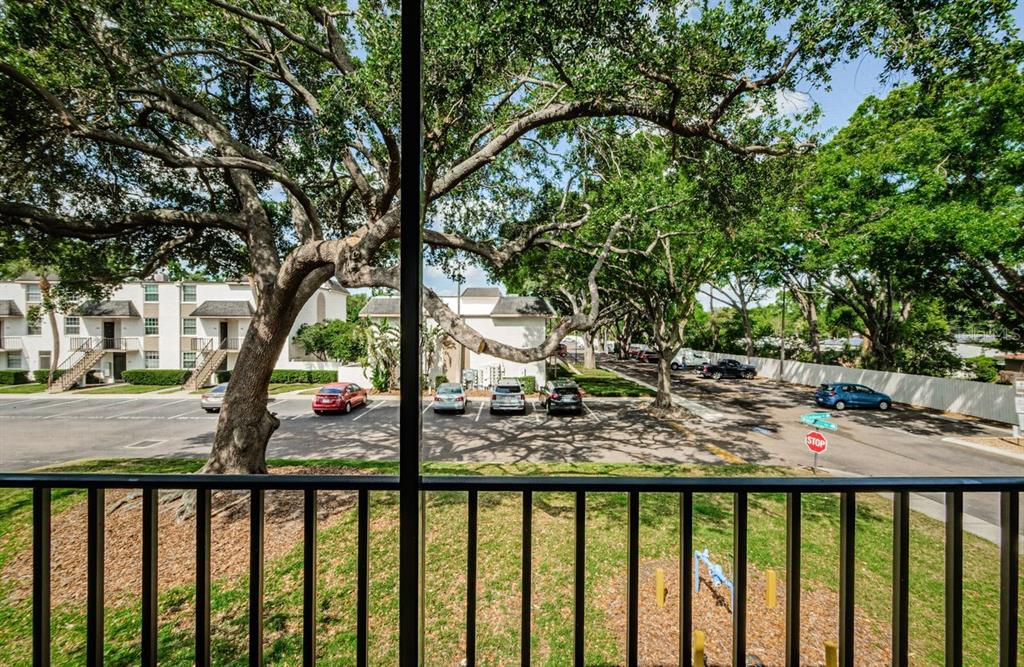 801 Russell Lane, Unit 255 Brandon, FL 33510 - Photo 33 of 38 a view of a porch with a yard