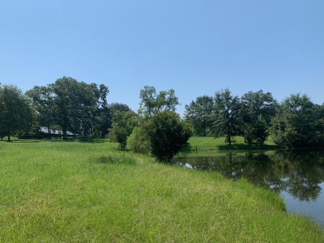 7768 Red Barrow Road Baker, FL 32531 - Photo 9 of 49 a view of a lake view with a big yard
