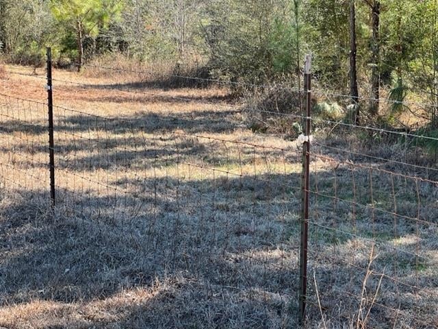 26541 Old Boggy Road Opp, AL 36467 - Photo 19 of 50 Gallery Image 19