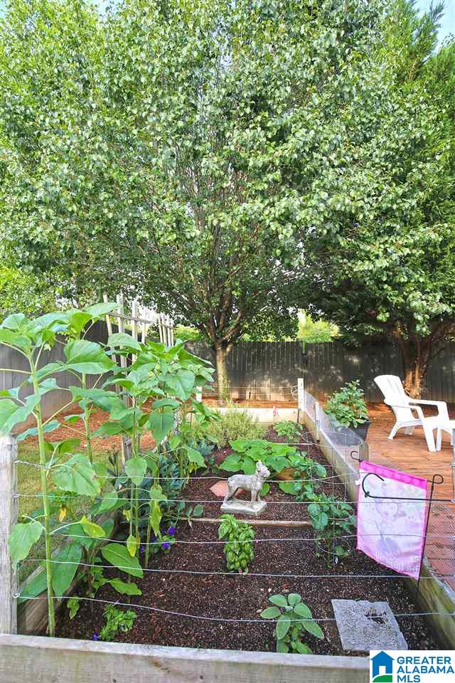 4233 Hathaway Lane Mount Olive, AL 35117 - Photo 34 of 36