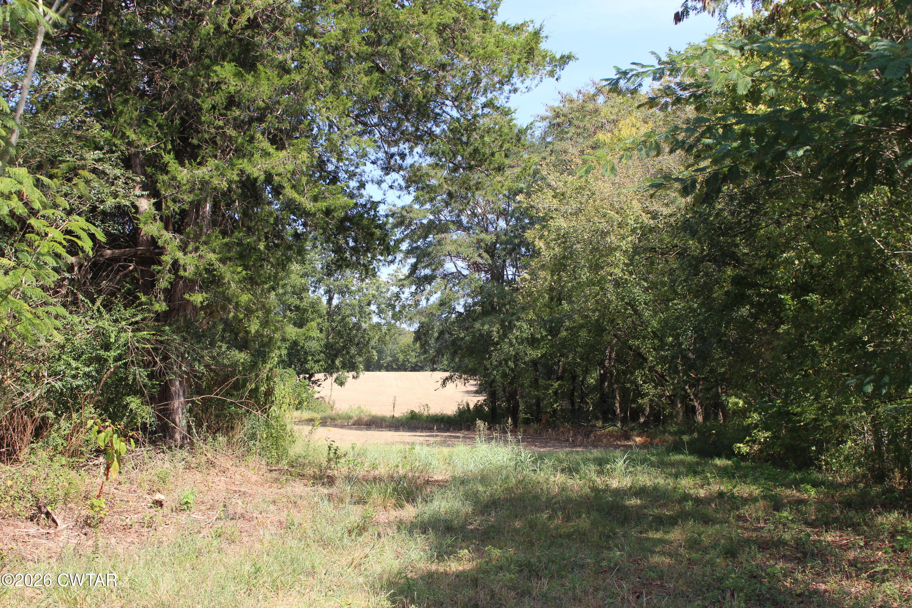 5 Cotton Grove Road Jackson, TN 38305 - Photo 4 of 11 IMG_0134
