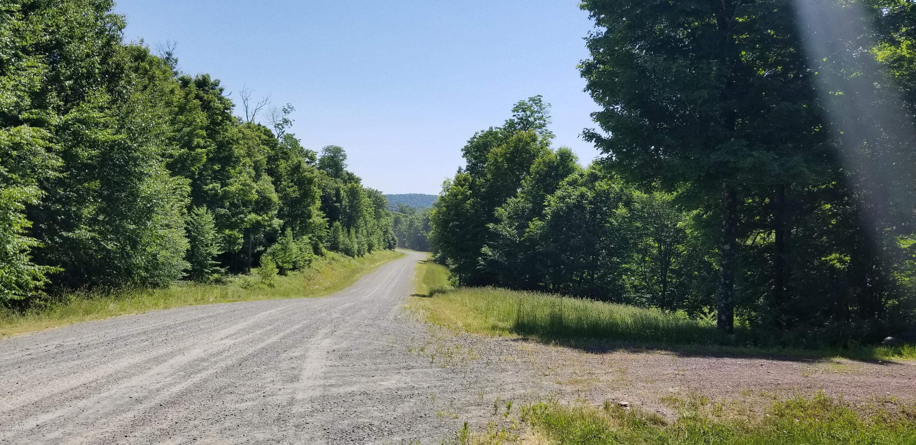 Lot 63 Old Woods Road Equinunk, PA 18417 - Photo 59 of 63