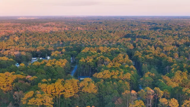 $50,000 | 6164 State Rd S-10-2077, Ravenel, SC 29470