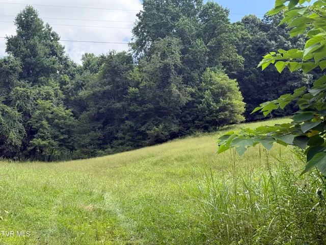 $999,999 | 0 Long Hollow Road, Nickelsville, VA 24271