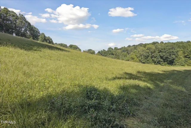 $999,999 | 0 Long Hollow Road, Nickelsville, VA 24271