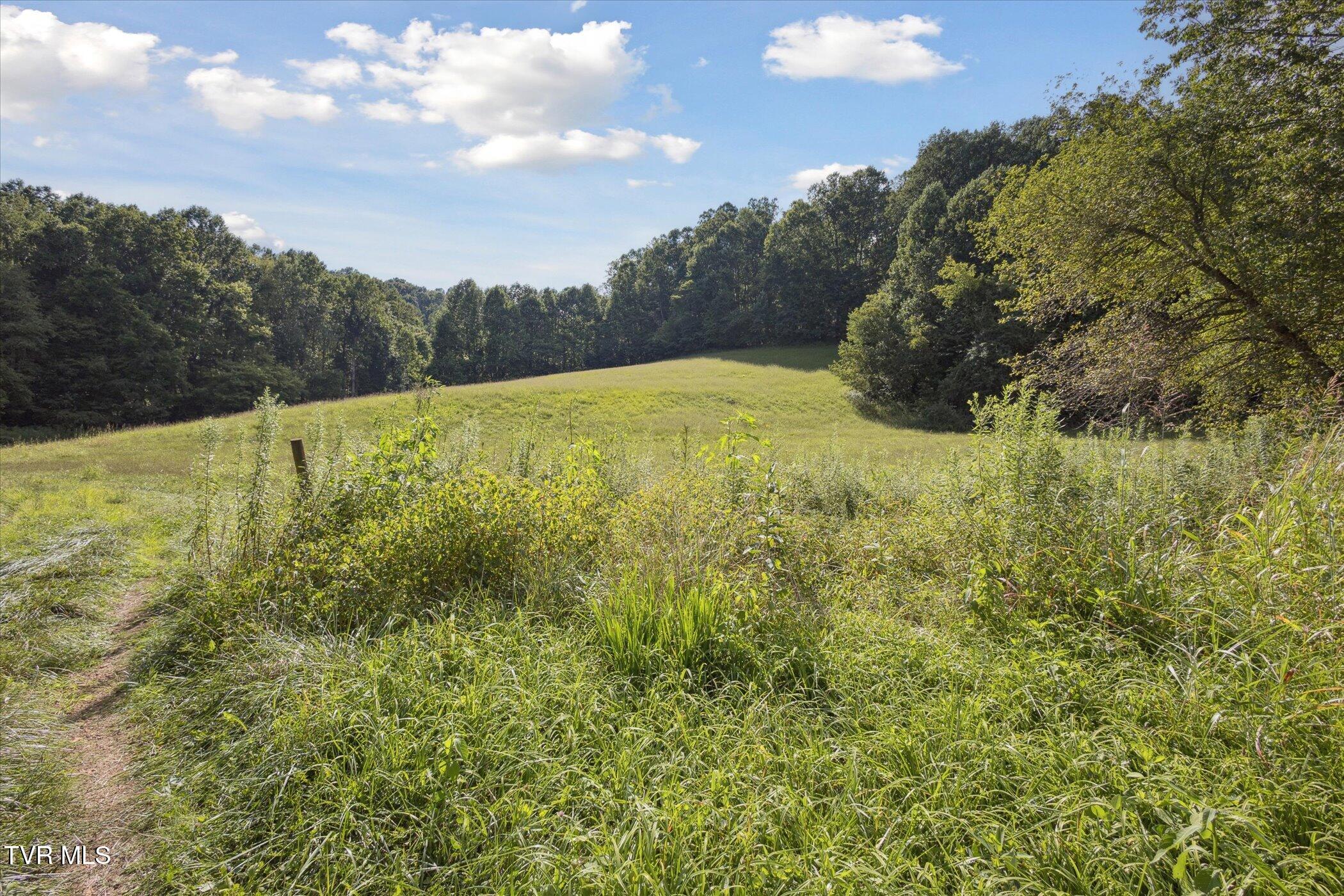 0 Long Hollow Road Nickelsville, VA 24271 - Photo 29 of 37 Two barns already on-site