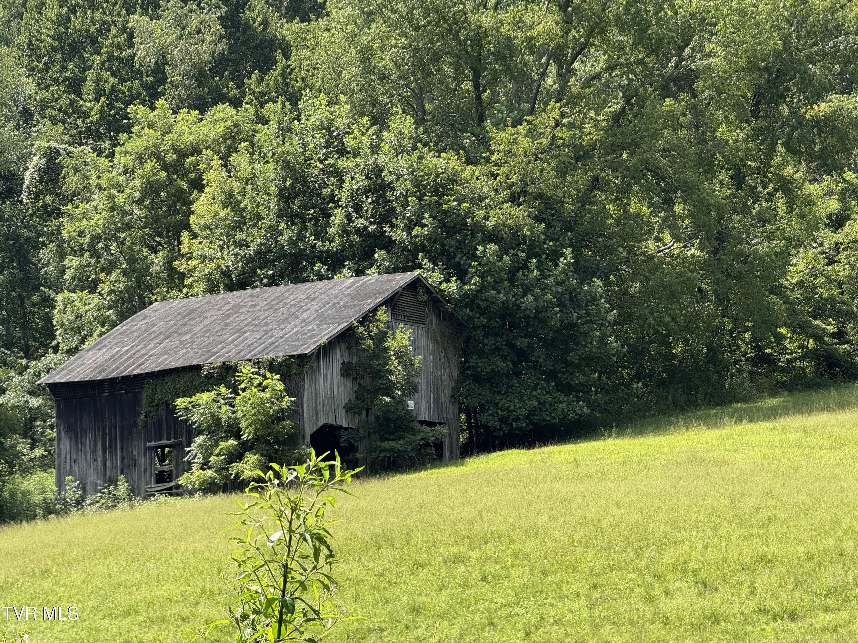 0 Long Hollow Road Nickelsville, VA 24271 - Photo 3 of 37 000 Long Hollow