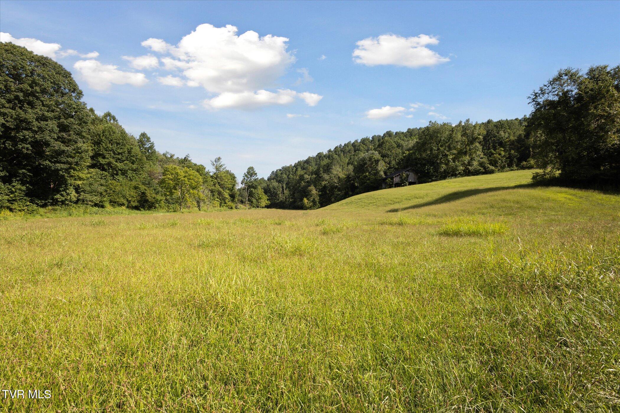 0 Long Hollow Road Nickelsville, VA 24271 - Photo 31 of 37 Two barns already on-site