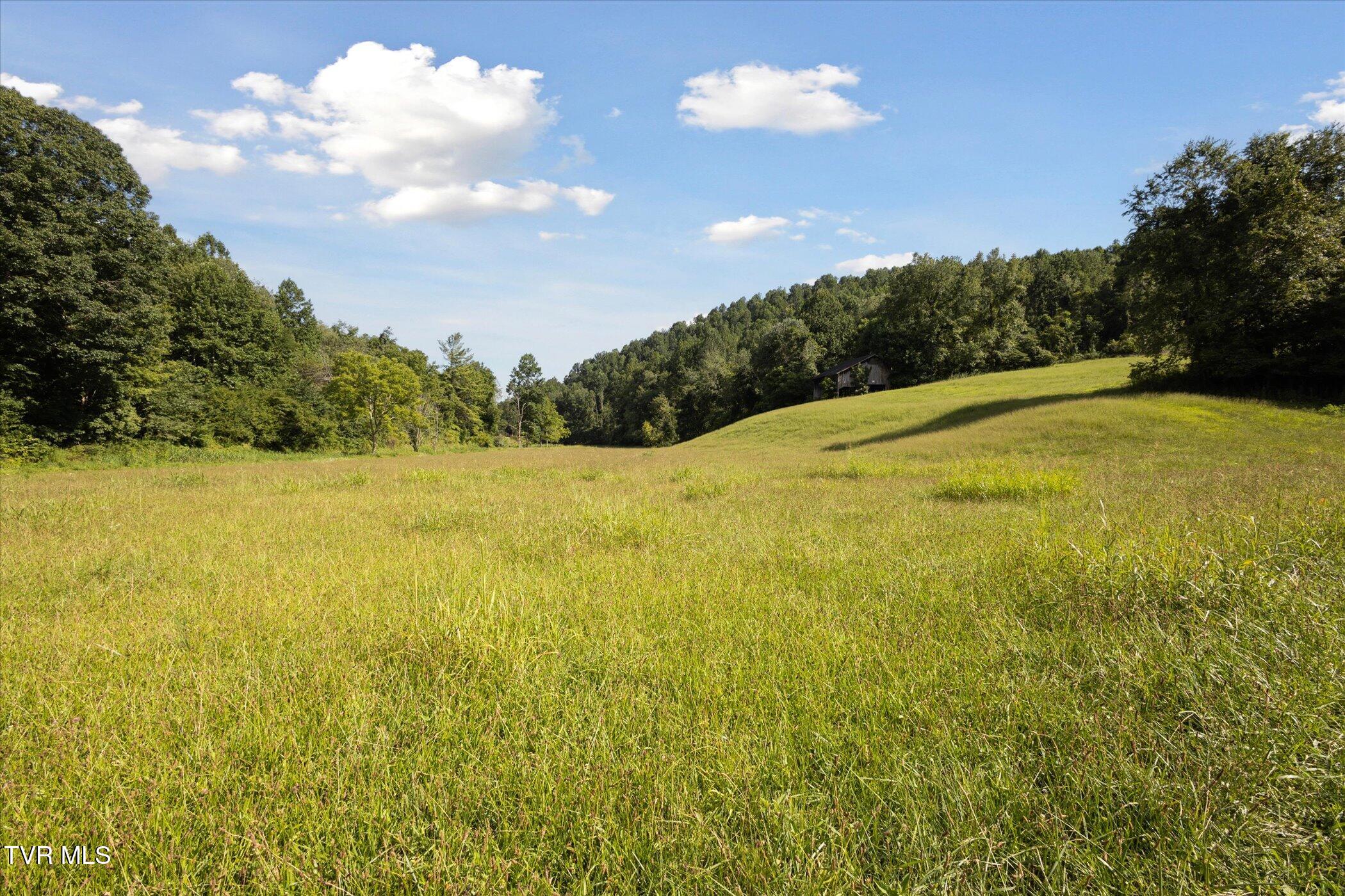 0 Long Hollow Road Nickelsville, VA 24271 - Photo 32 of 37 154 +/- Acres