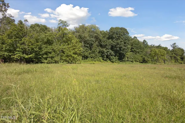 $999,999 | 0 Long Hollow Road, Nickelsville, VA 24271