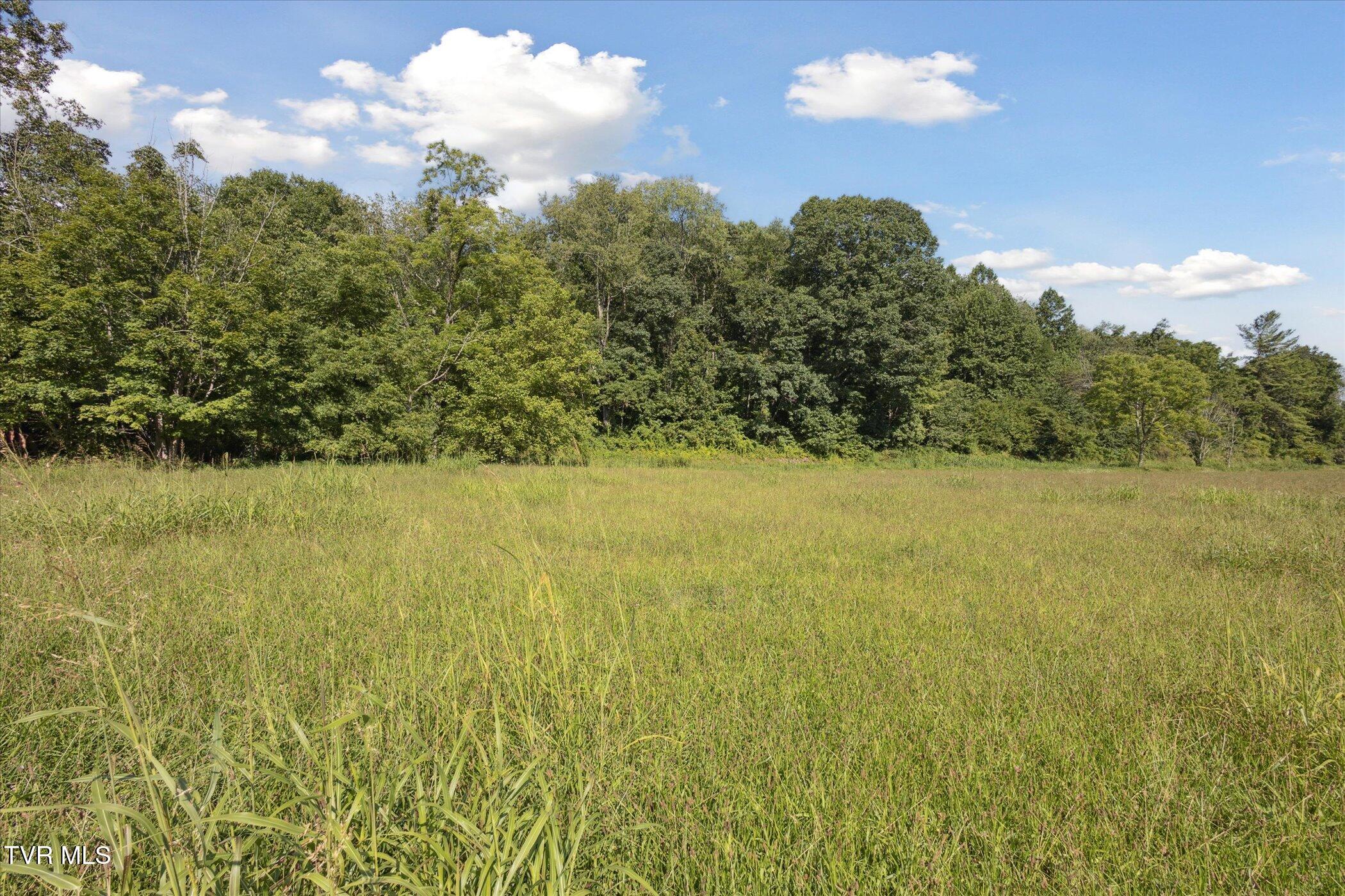 0 Long Hollow Road Nickelsville, VA 24271 - Photo 33 of 37 000 Long Hollow