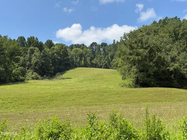 $999,999 | 0 Long Hollow Road, Nickelsville, VA 24271