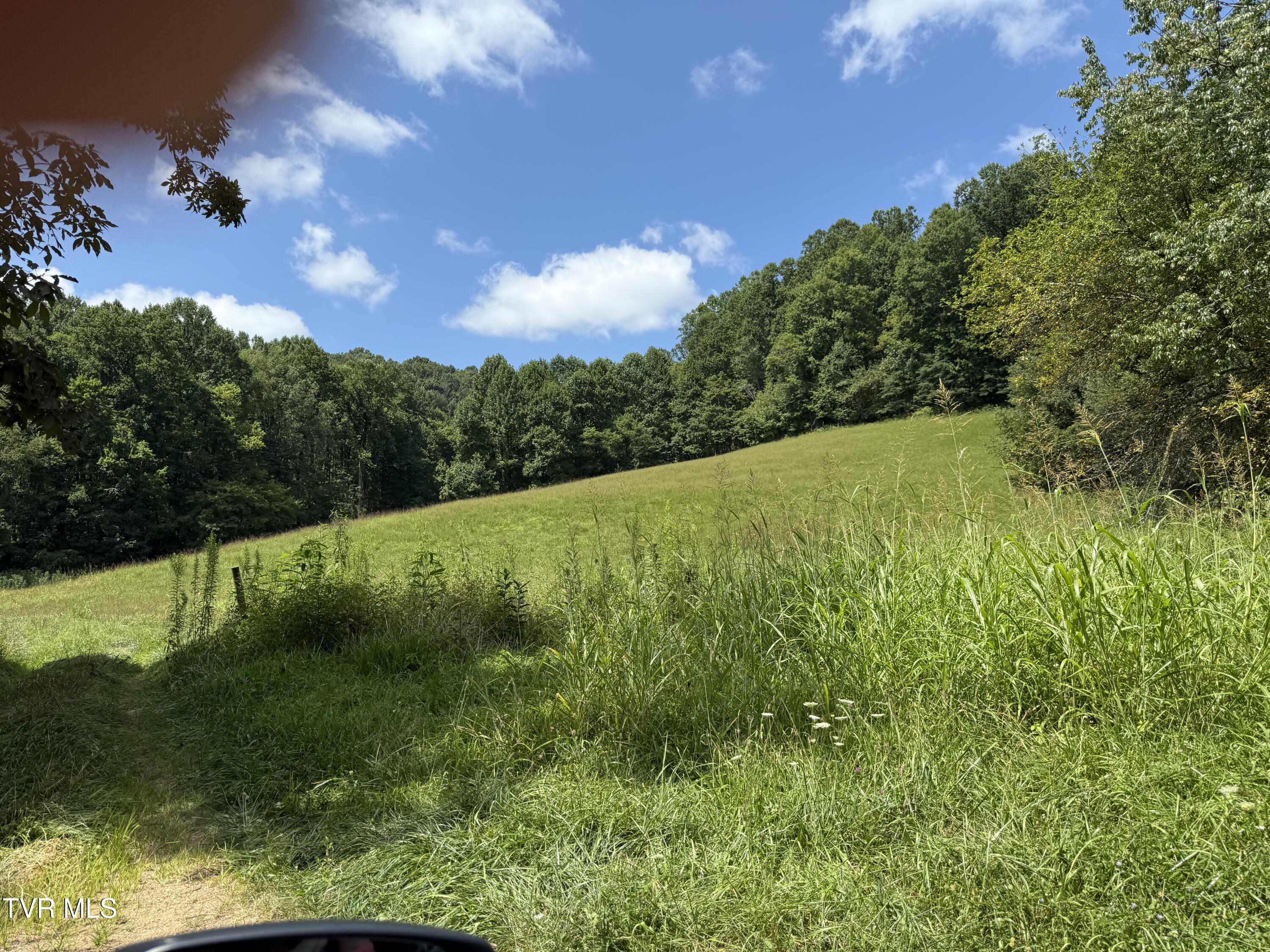 0 Long Hollow Road Nickelsville, VA 24271 - Photo 7 of 37 3,900+/- feet of frontage