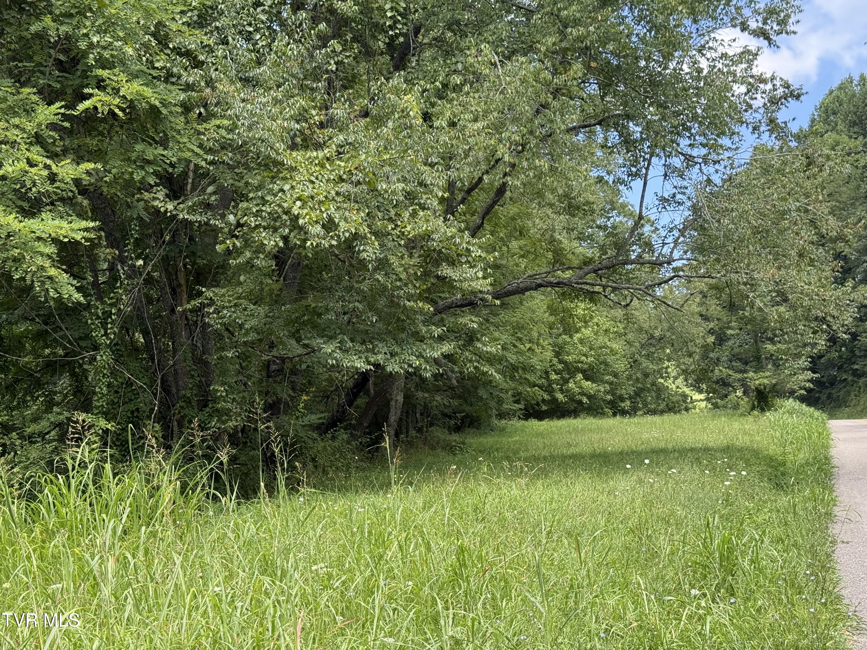 0 Long Hollow Road Nickelsville, VA 24271 - Photo 8 of 37 this land offers versatility
