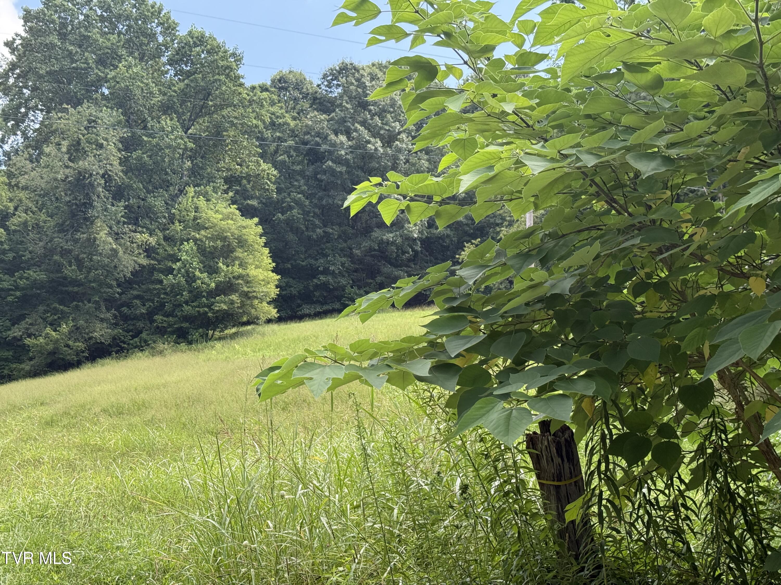 0 Long Hollow Road Nickelsville, VA 24271 - Photo 9 of 37 154 +/- Acres