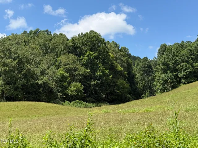 $999,999 | 0 Long Hollow Road, Nickelsville, VA 24271