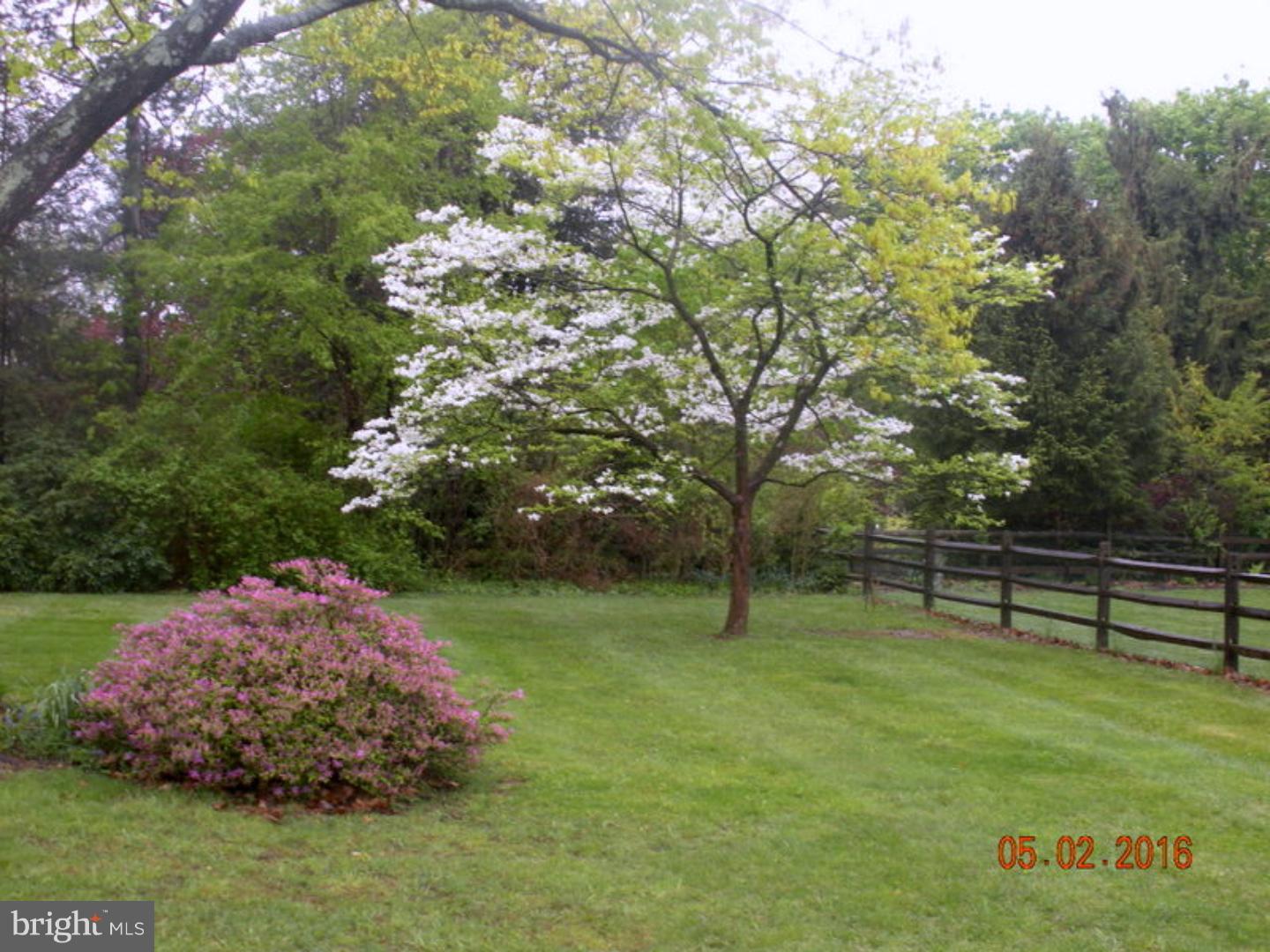 68 Grubb Road Malvern, PA 19355 - Photo 15 of 17 Back Yard