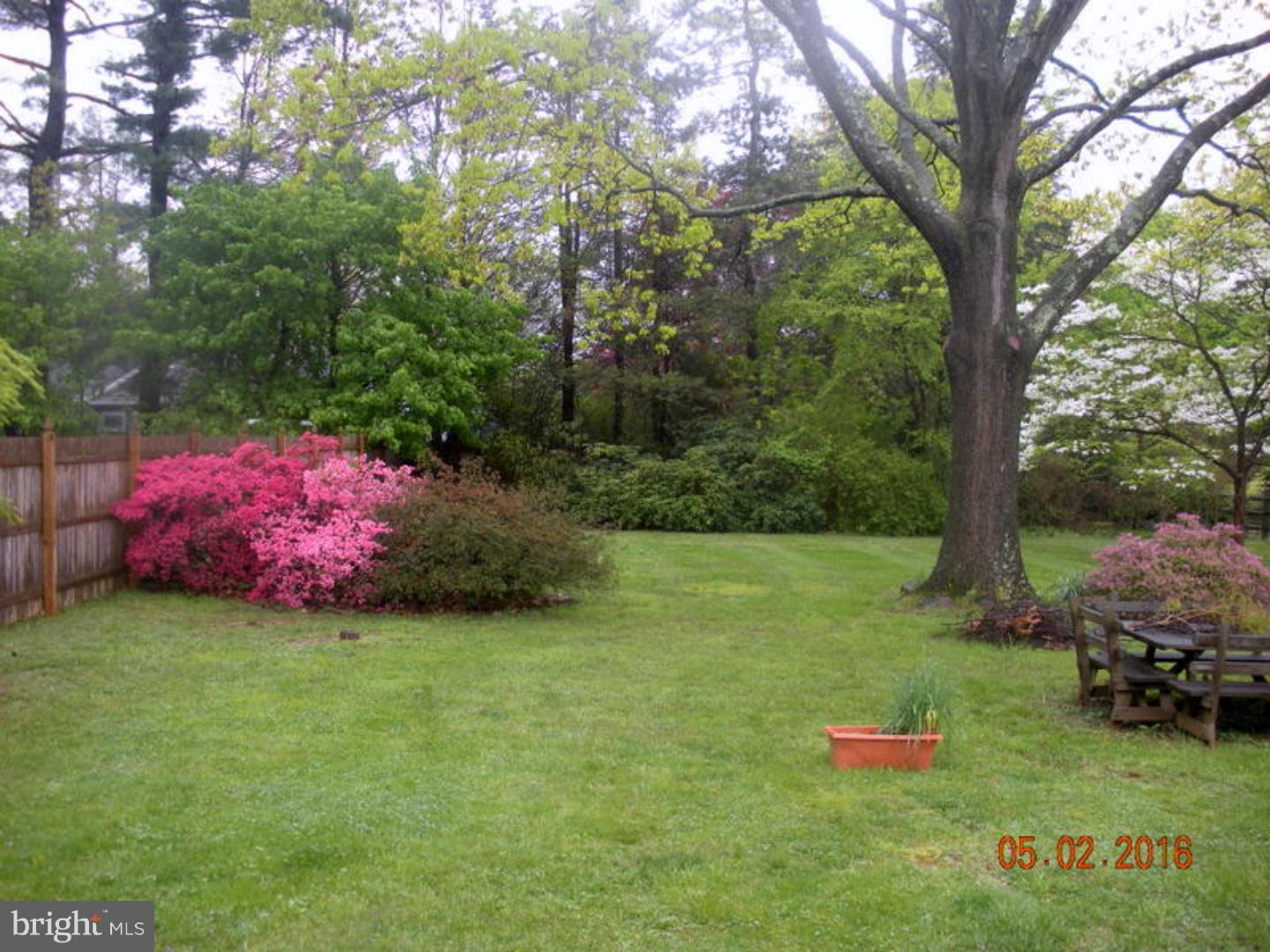 68 Grubb Road Malvern, PA 19355 - Photo 7 of 17 Back Yard