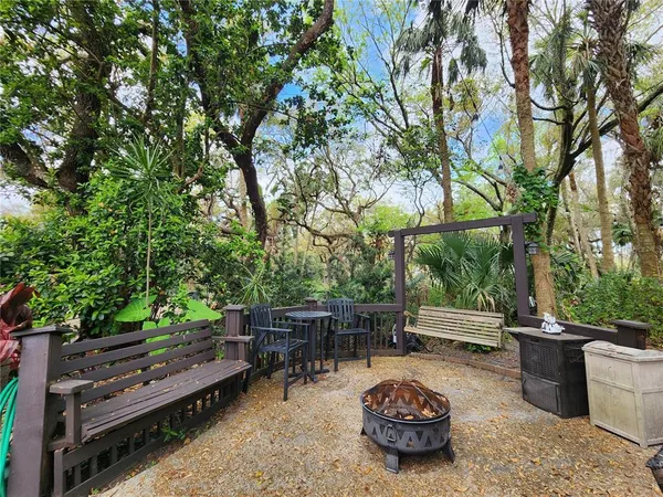 a view of a pathway of a tree