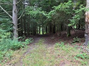 10053 Browntown Road Lindley, NY 14858 - Photo 9 of 13