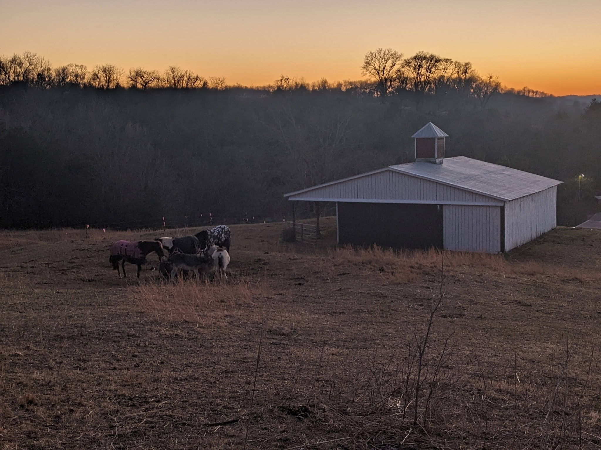 4187 Booker Farm Road Hampshire, TN 38461 - Photo 99 of 100 Gallery Image 99