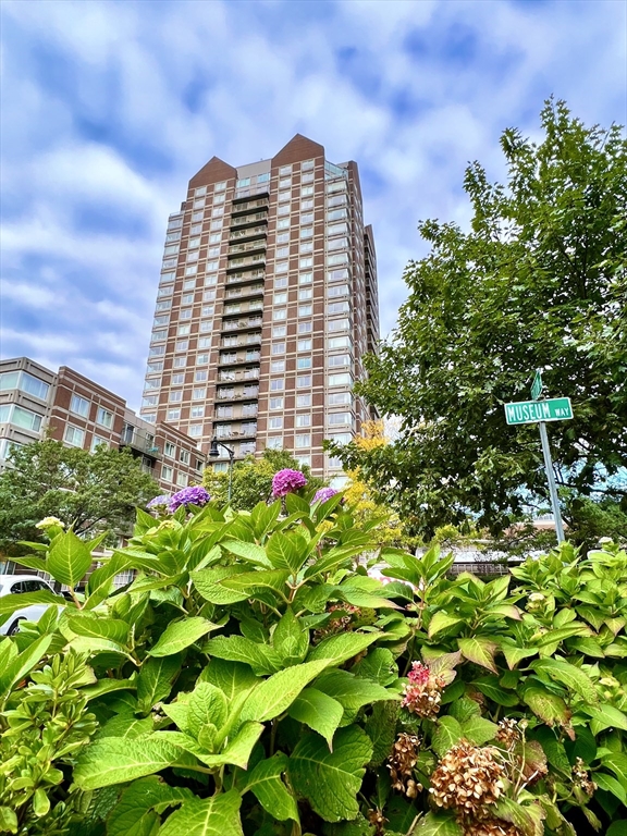 8 Museum Way, Unit 802 Cambridge, MA 02141 - Photo 39 of 39 a view of a multi story building