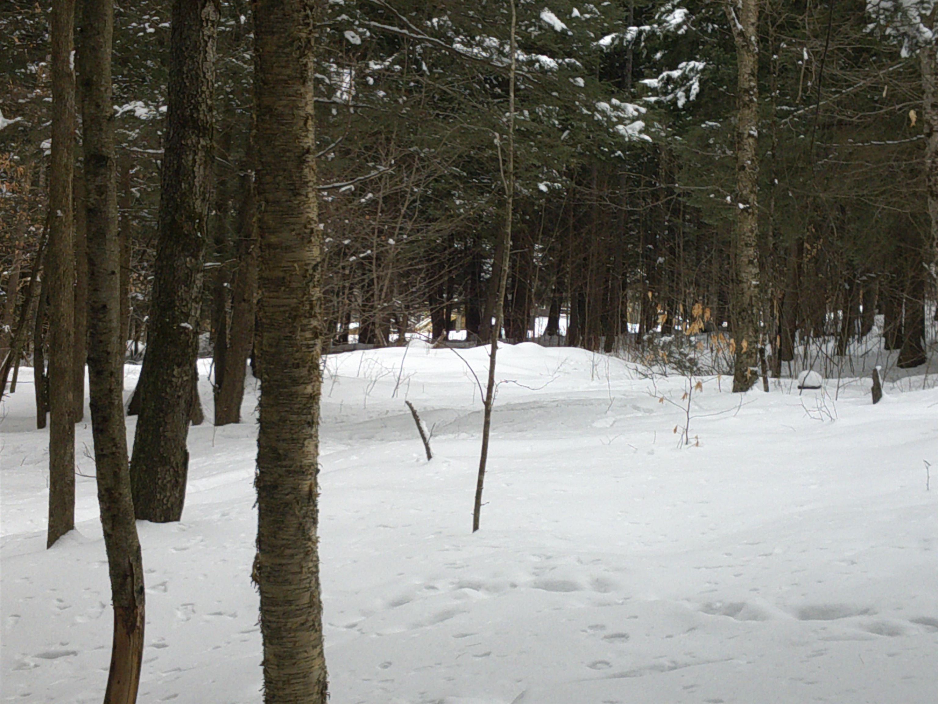 0 Plot Road, Unit 2 Johnson, VT 05656 - Photo 12 of 29