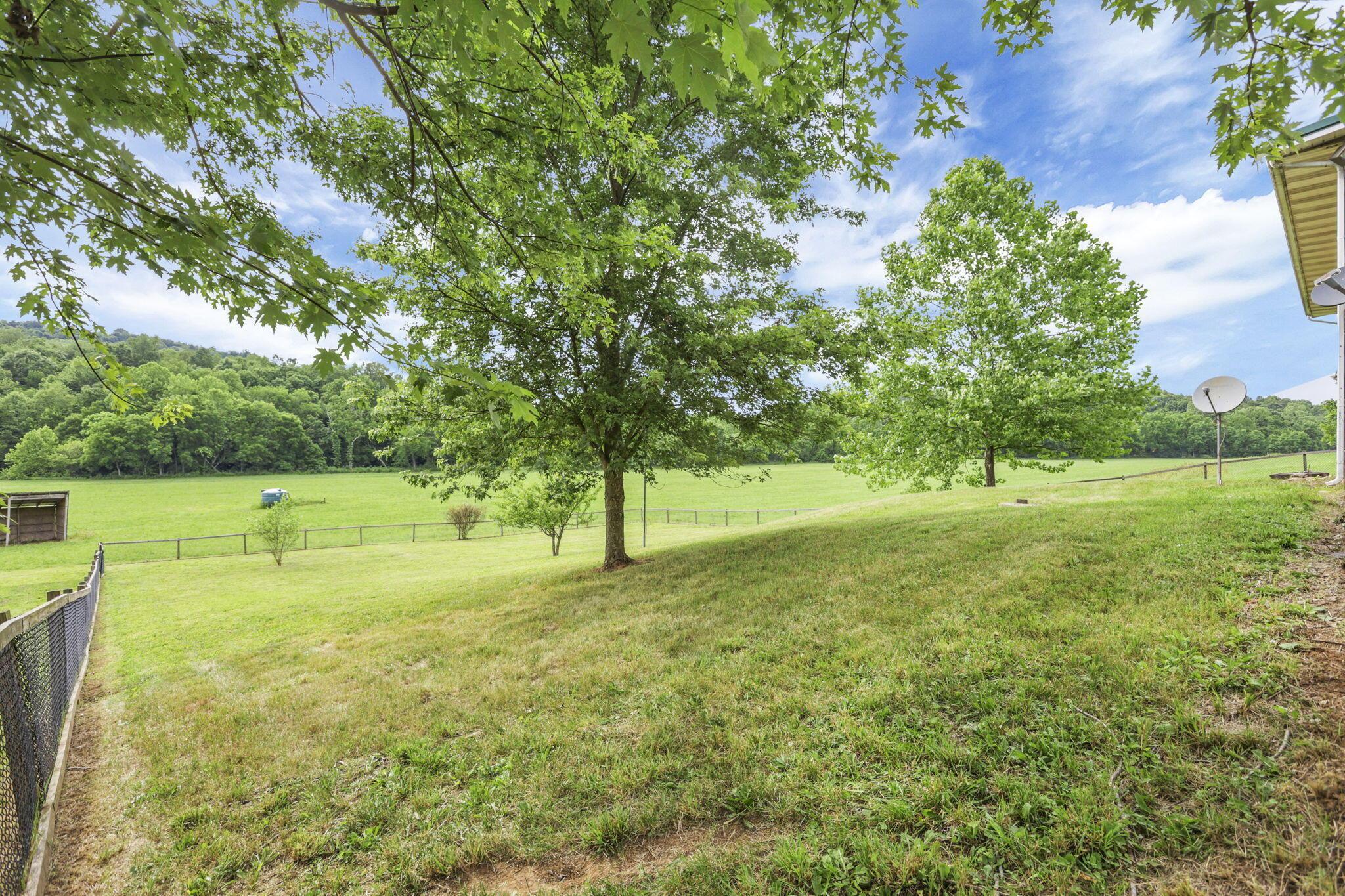 7455 Old Grade Road Chesterhill, OH 43728 - Photo 62 of 78 53-web-or-mls-LO5A5568