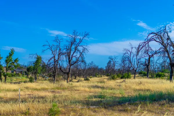a view of swimming pool with a yard