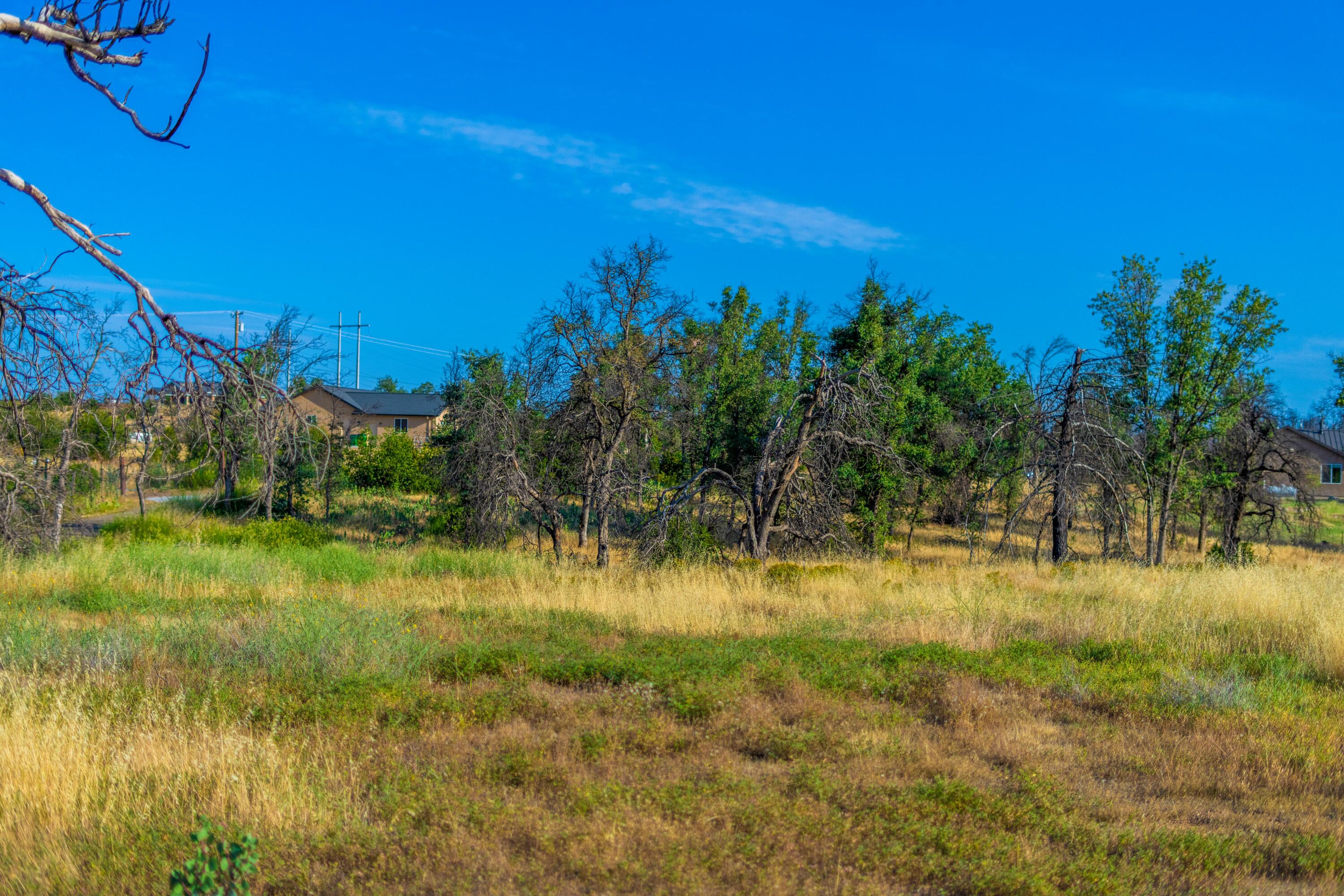 17007 Keswick Dam Road Redding, CA 96003 - Photo 18 of 20 a view of back yard