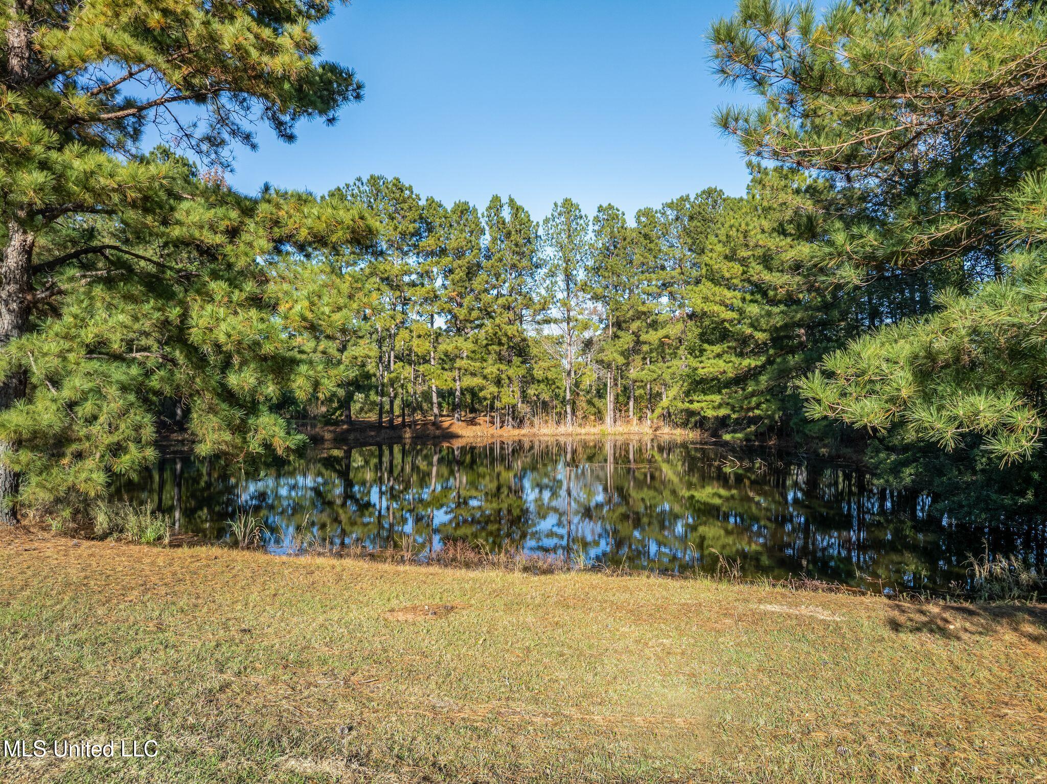 2027 Chapel Drive Summit, MS 39666 - Photo 41 of 46 2027_Chapel_Dr-41