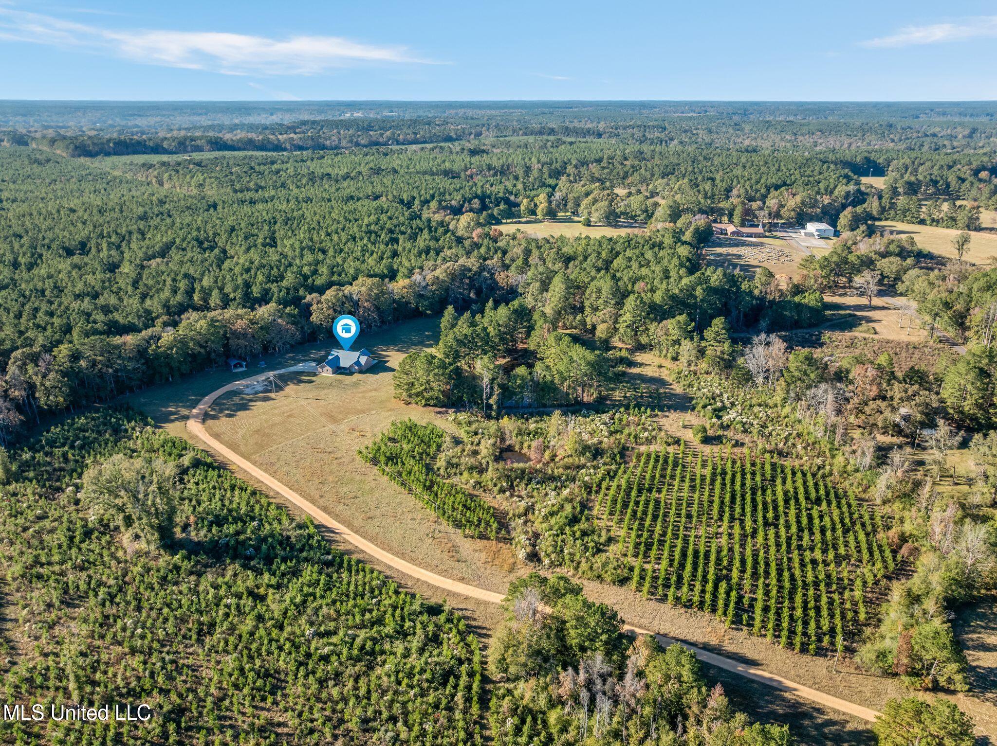 2027 Chapel Drive Summit, MS 39666 - Photo 45 of 46 2027_Chapel_Dr-45