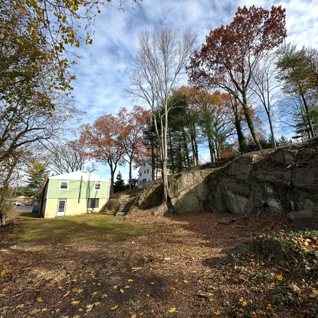 10 Carleton Street Greenwich, CT 06830 - Photo 8 of 8 a view of a yard with a tree