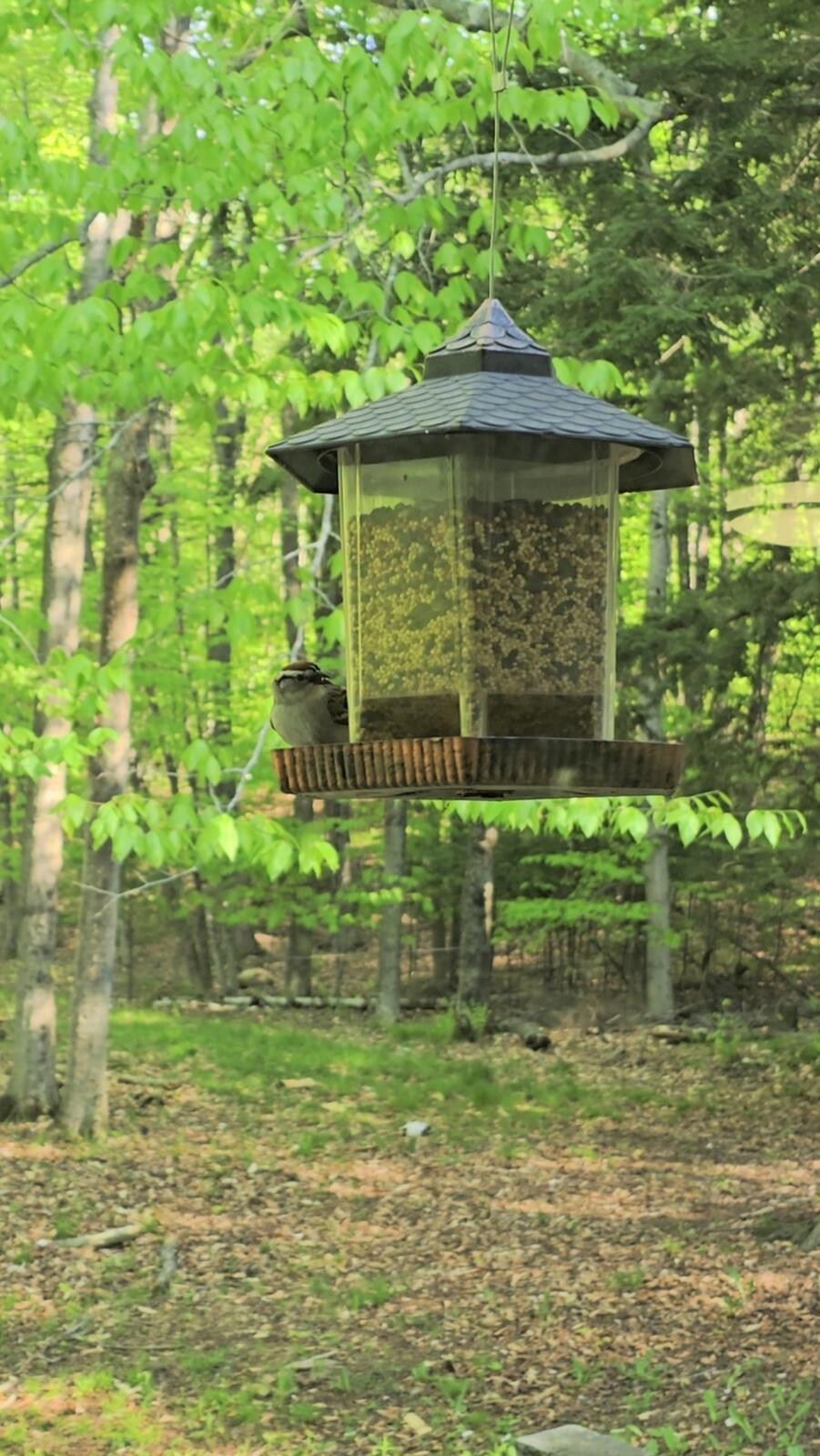 146 Belcher Road Farmington, ME 04938 - Photo 75 of 81 1000071244
