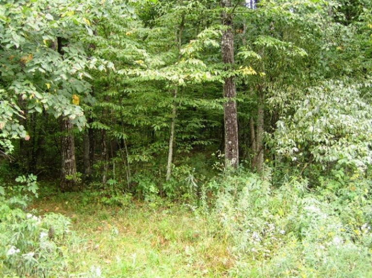 5965 Longbridge Road Pentwater, MI 49449 - Photo 3 of 3 Additional Photo