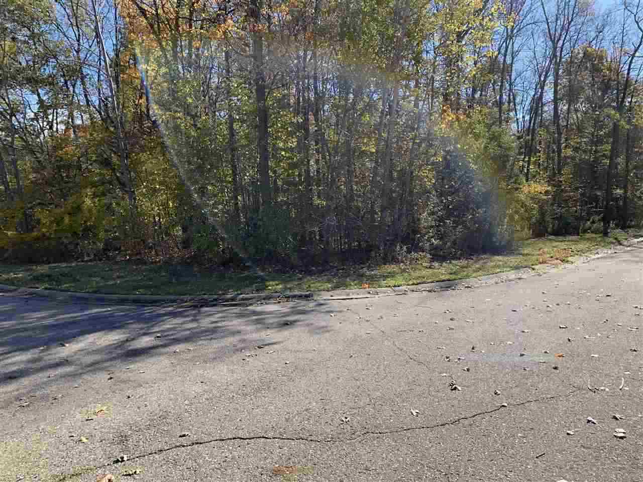 0 Stonebrook Lane Flushing, MI 48433 - Photo 2 of 7