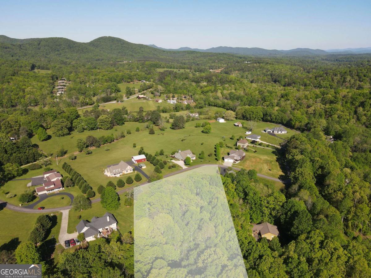 Lot 36 The Smithfields Young Harris, GA 30582 - Photo 11 of 23