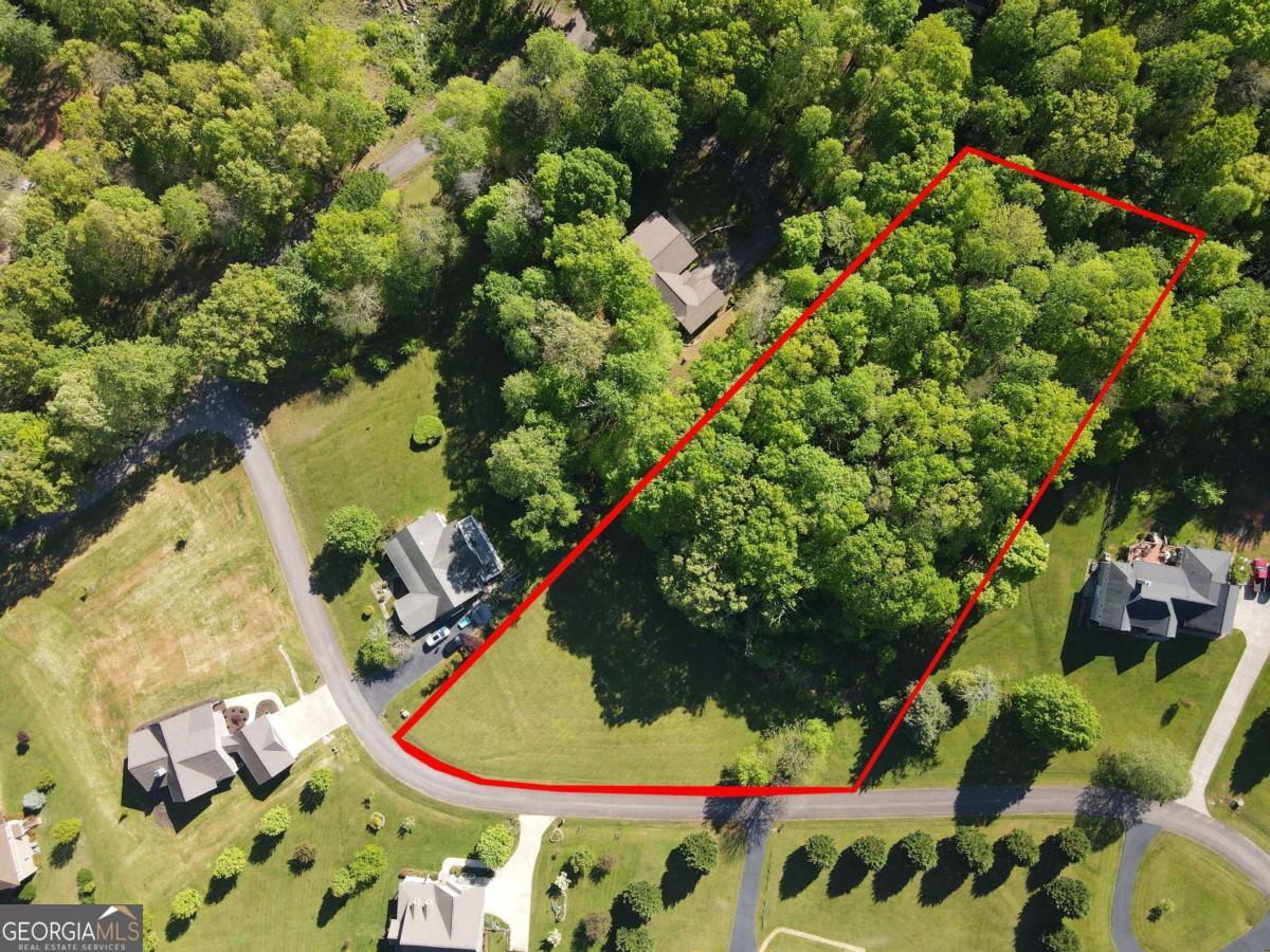 Lot 36 The Smithfields Young Harris, GA 30582 - Photo 12 of 23