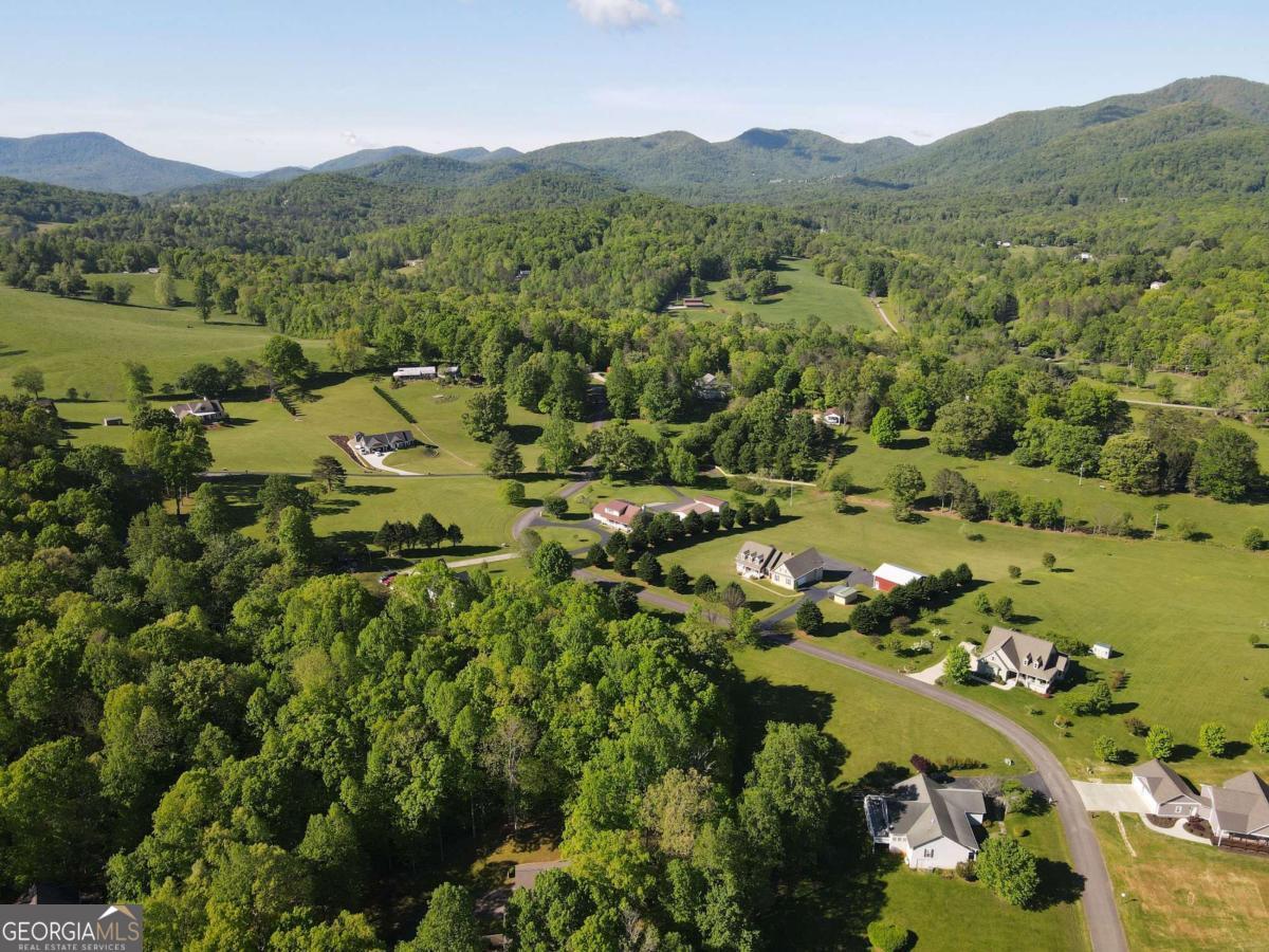 Lot 36 The Smithfields Young Harris, GA 30582 - Photo 14 of 23