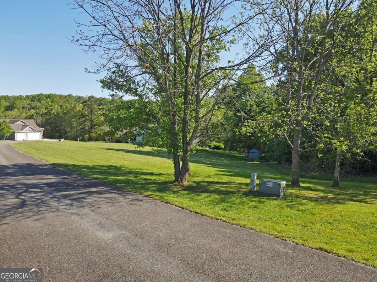 Lot 36 The Smithfields Young Harris, GA 30582 - Photo 20 of 23