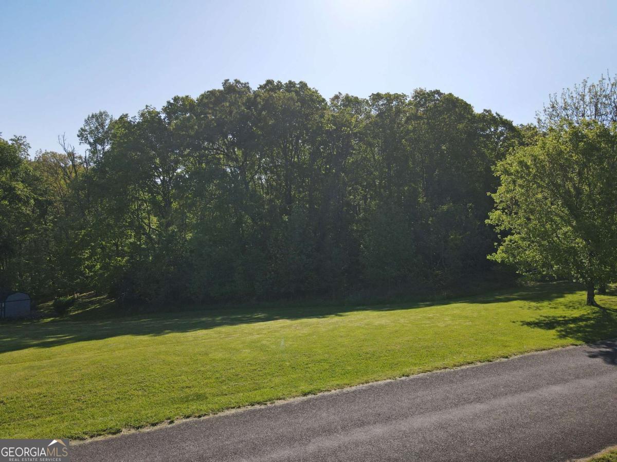 Lot 36 The Smithfields Young Harris, GA 30582 - Photo 21 of 23