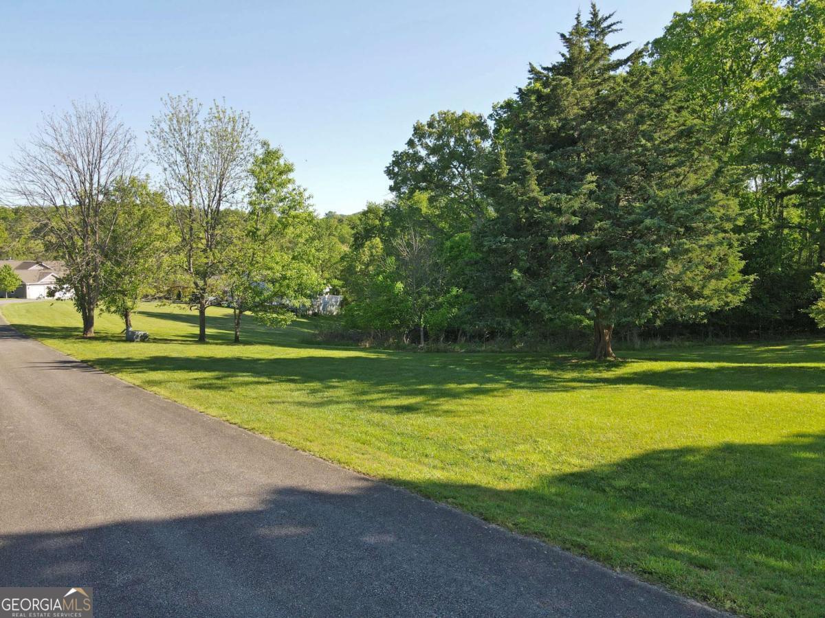 Lot 36 The Smithfields Young Harris, GA 30582 - Photo 4 of 23