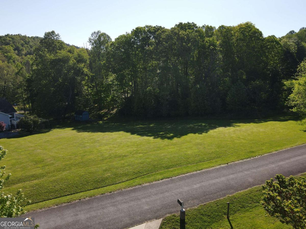 Lot 36 The Smithfields Young Harris, GA 30582 - Photo 5 of 23