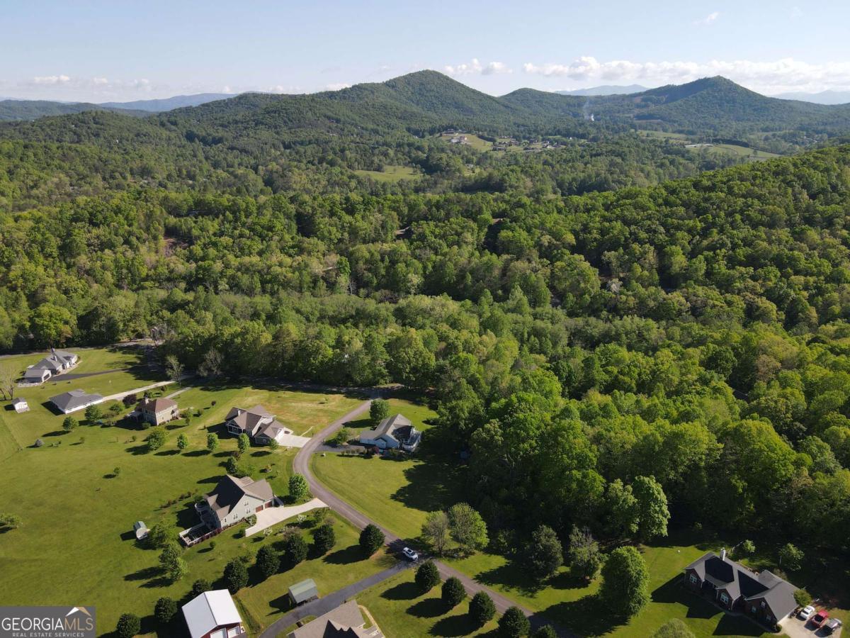 Lot 36 The Smithfields Young Harris, GA 30582 - Photo 9 of 23