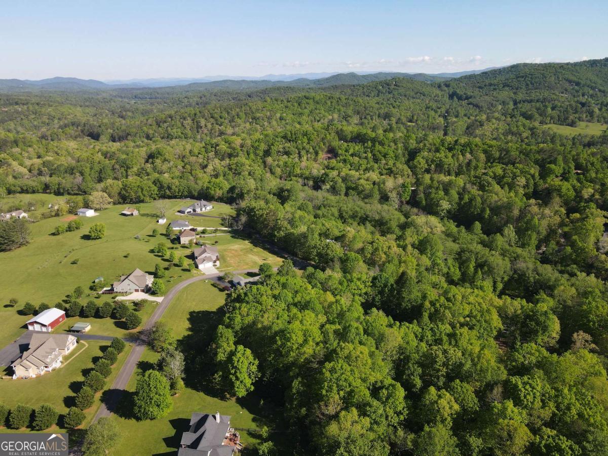 Lot 36 The Smithfields Young Harris, GA 30582 - Photo 10 of 23