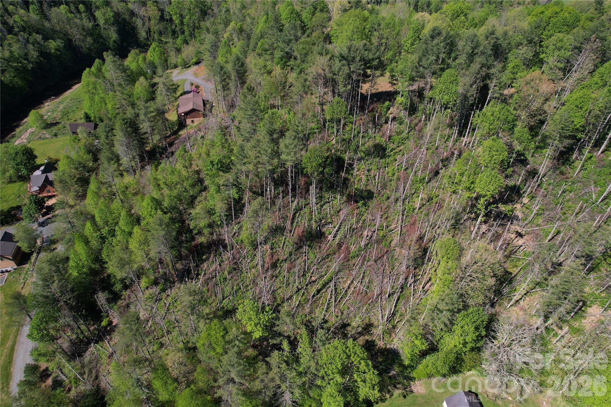 0 River Rock Road Warrensville, NC 28693 - Photo 3 of 15