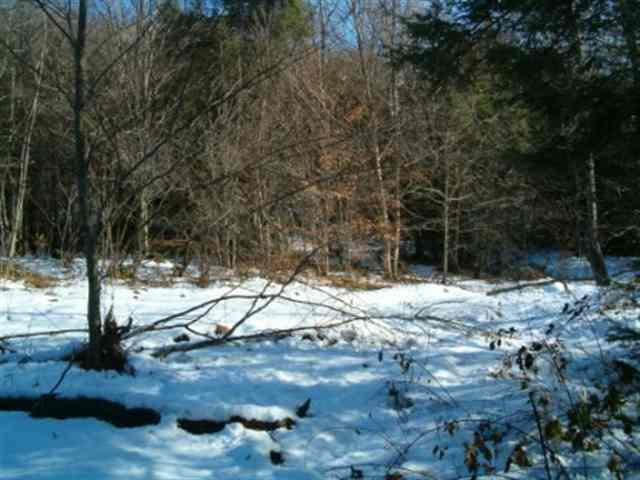 0 Truax Road Summit, NY 12175 - Photo 1 of 5 Photo 1