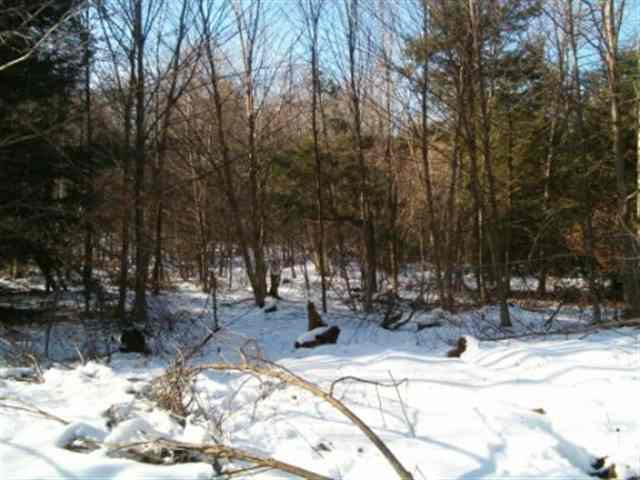0 Truax Road Summit, NY 12175 - Photo 2 of 5 Photo 2